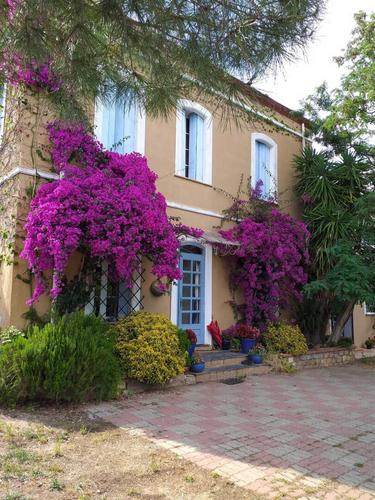 Mas cayrol à RIVESALTES