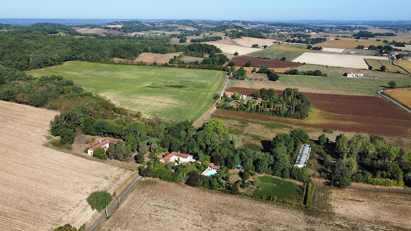 Les Oliviers à Auriébat