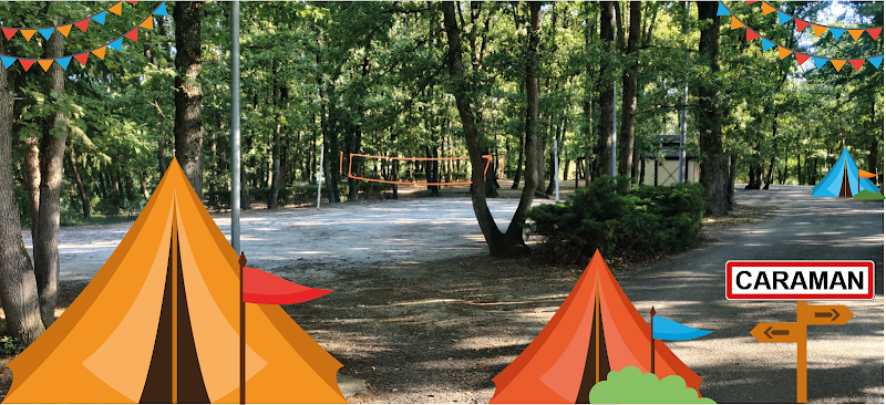 Elm Tree Camp Site