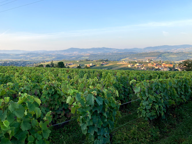 La Villa Buizantine à Val d'Oingt
