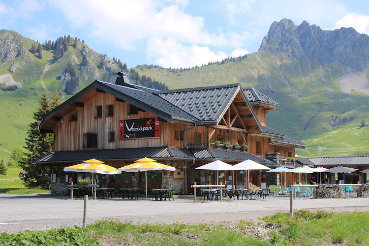 Chalet Hôtel Vaccapark à Mieussy