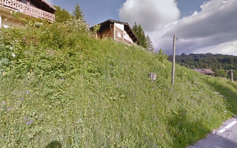 Les Carres à Les Gets