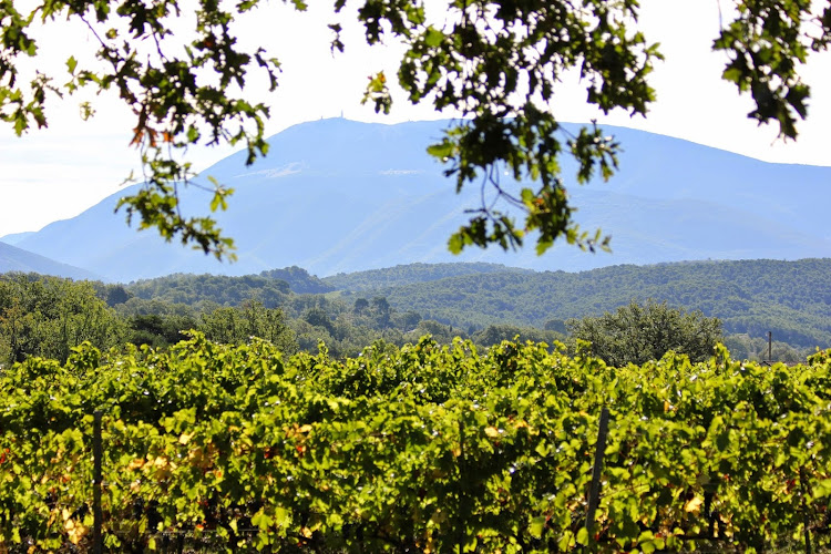 Domaine Le Puy du Maupas à Puyméras