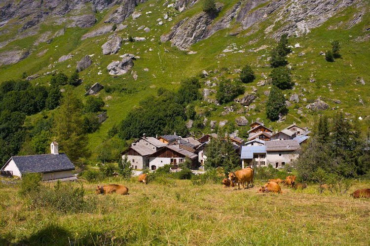 Camping Canada à Champagny-en-Vanoise