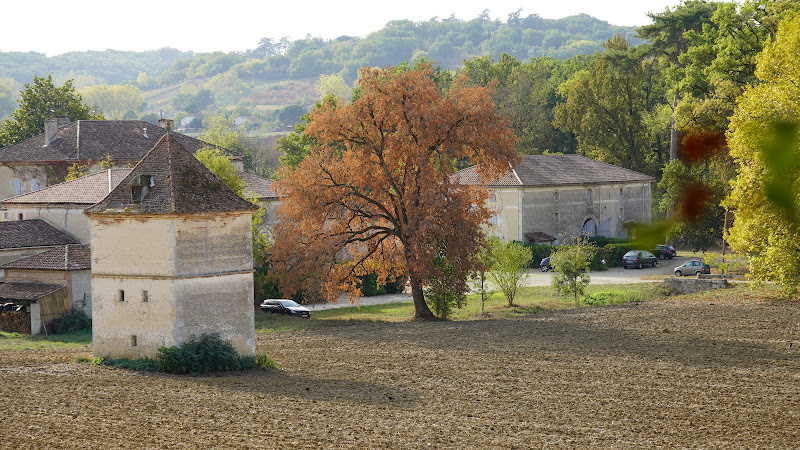 Chambres d Hôtes Chateau de Cavagnac à Layrac