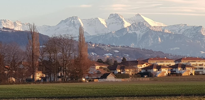 Adonis Excellior Grand Genève à Veigy-Foncenex