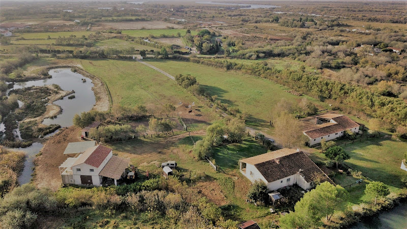 Gîte Mas Farola à Saintes-Maries-de-la-Mer