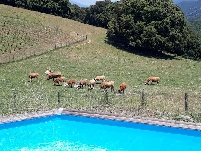 Gite topine à Moca-Croce