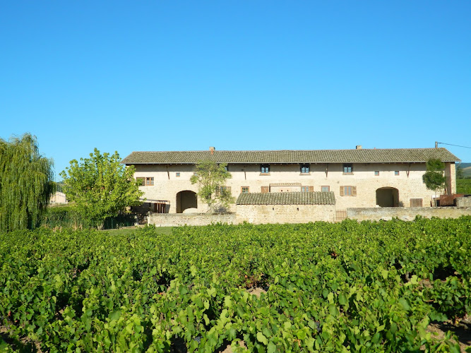 Gite l Etape Vigneronne à Fleurie
