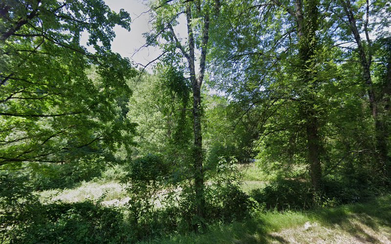 Puivert à Puivert