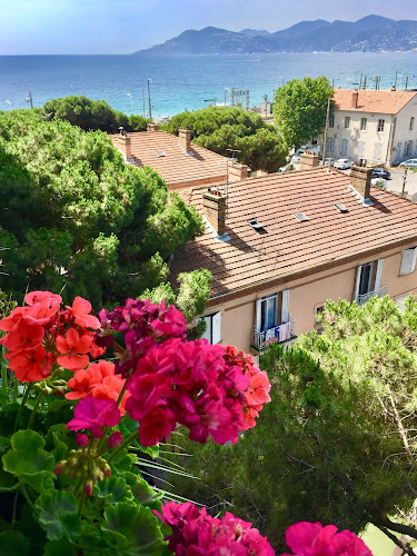 Cannes Holiday Rentals à Cannes