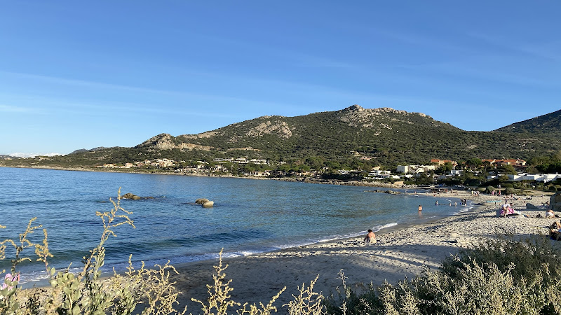 Corse Marina I Lecci à Lumio