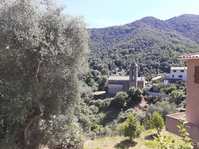 Arbori à Arbori