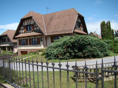 Le Rucher à Traubach-Le-Bas