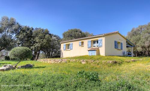 Casetta des Oliviers à Sartene