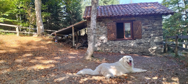 Cabane des gardes à Montoulieu