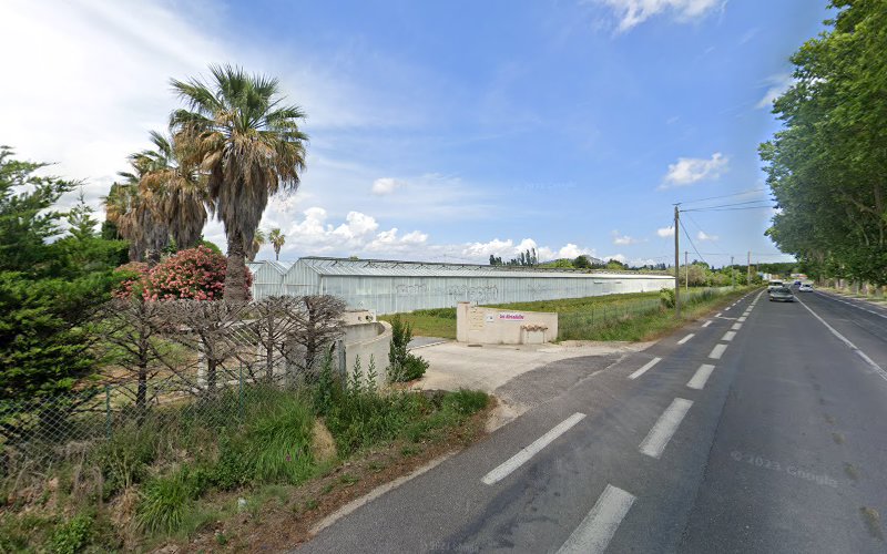 Les Hirondelles à La Garde
