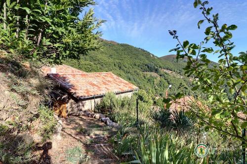 Le Petit Soulier à Labastide Sur Besorgues