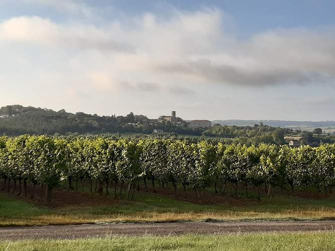 Bordignon Patrick à Saint-Puy