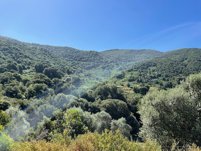 U Ruspu Chambre d hôtes en Corse à Petreto-Bicchisano