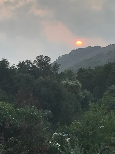 Domaine Trevinella à Cauro
