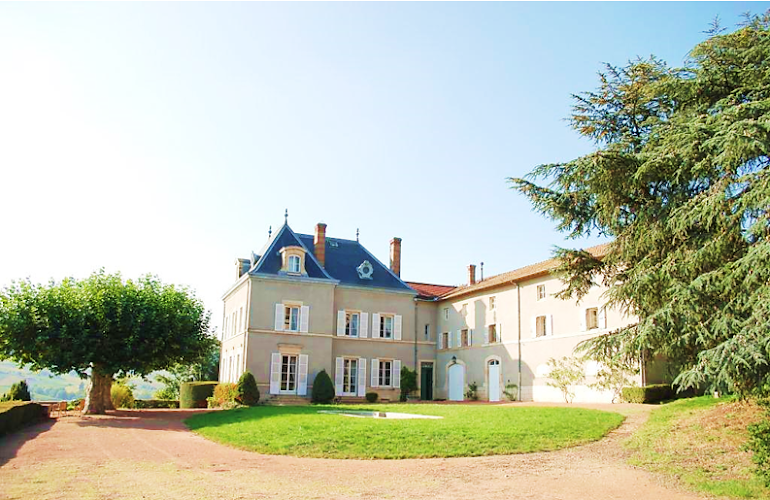 Chteau Des Vierres à Lantignié