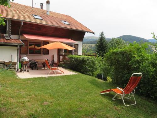 Les cerisiers au fil des saisons à Muhlbach-sur-Munster