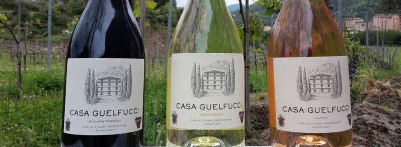 Casa Guelfucci à Corte