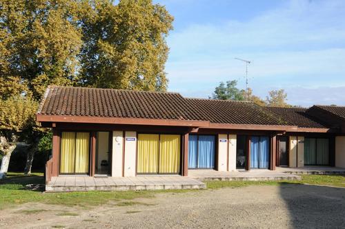 Arbousiers à Morcenx-La-Nouvelle