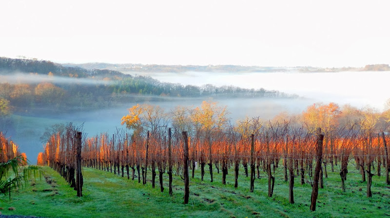 Clos Laplume à Monein
