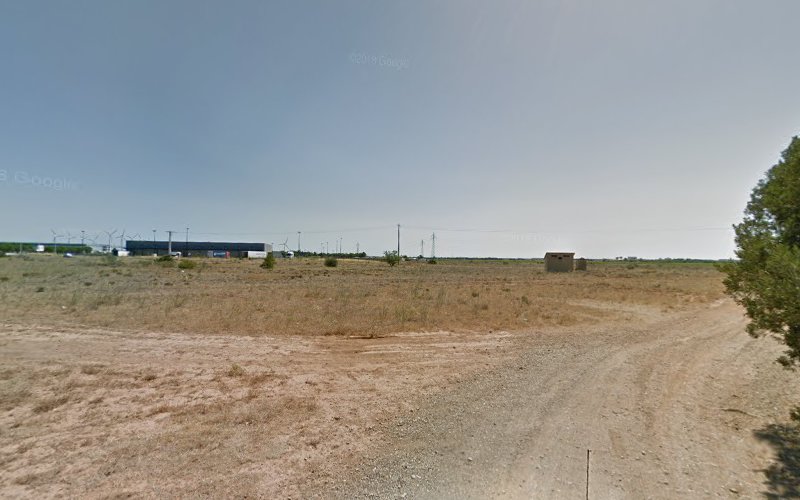 Site naturel du Camp Joffre à Rivesaltes