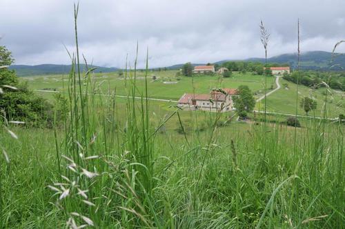 La Mure - l'Affût Douillet à Vassieux En Vercors