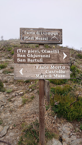 Felce à Felce