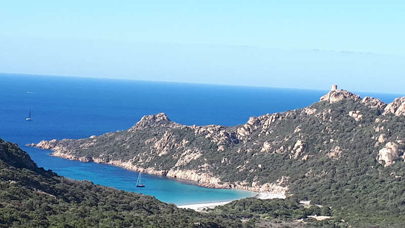 Monacia-d Aullène à Monacia-d'Aullène