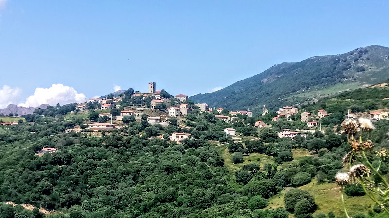 Arbellara à Arbellara