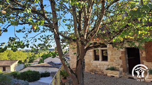 La Vigneronne à Cestayrols