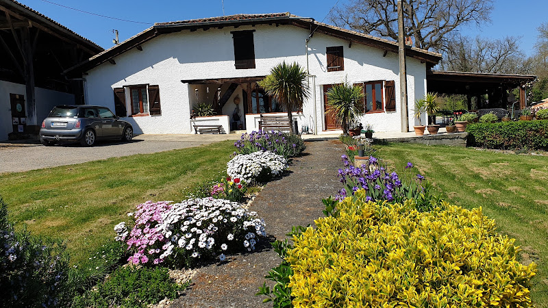 Le Vieux Chêne à Sérignac