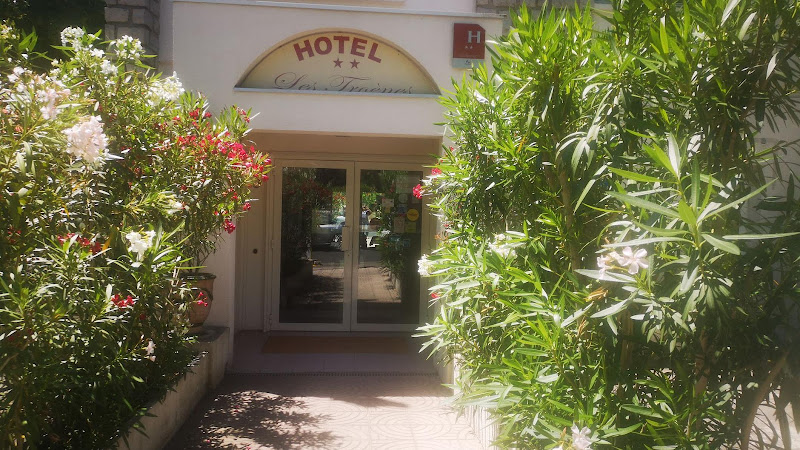 Hôtel Les Troènes à Montpellier