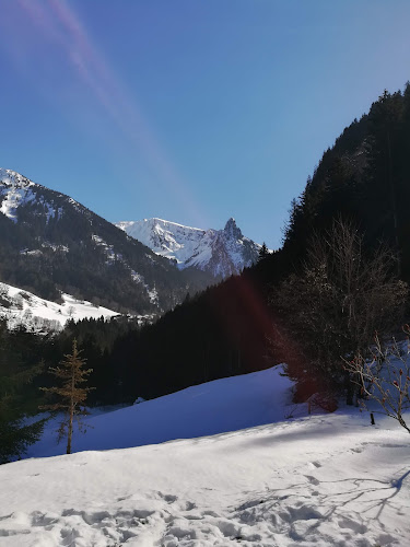 Les Résidences de l Etale à Manigod