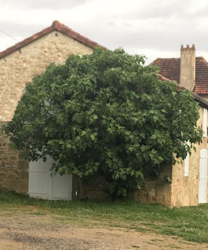 Mas du Figuier, Occitanie France