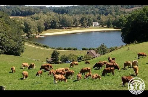 Le Gîte du Hameau à VIGEOIS