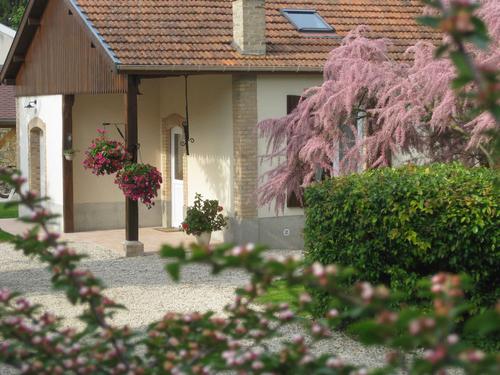 Entre Terre et Vignoble - Gite à Villers-Franqueux