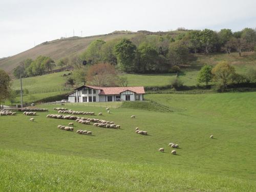 Lur-Xuri-Bidean à LOUHOSSOA