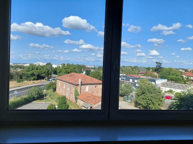 Nemea à Toulouse
