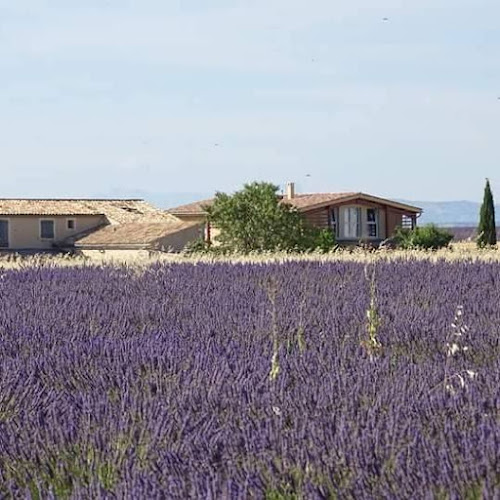 La Petite Campagne à Brunet