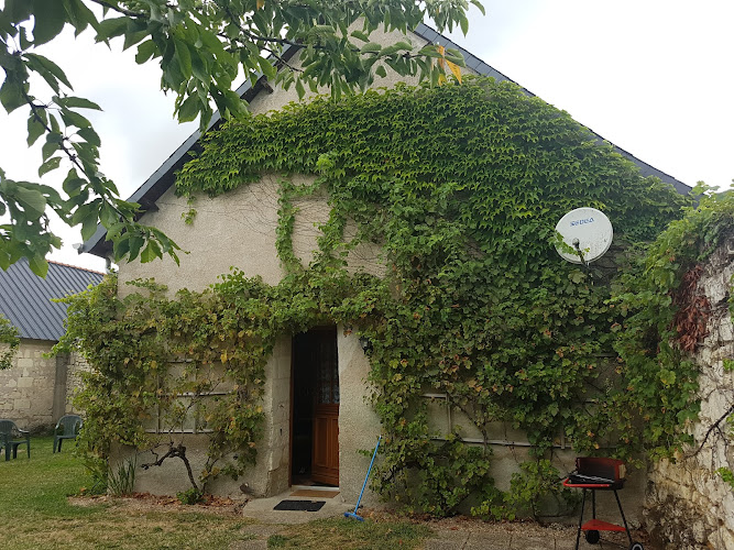 Le Vieux Cerisier à Brain-sur-Allonnes