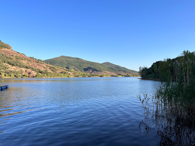 Le Mas de Riri à Celles