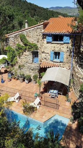 L Oliveraie des 3 Mas à Saint-Michel-de-Llotes