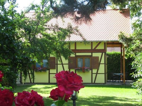 A l'ombre du tilleul à Griesheim-Pres-Molsheim