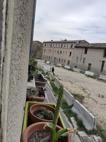 Les jardins de marze à Carpentras